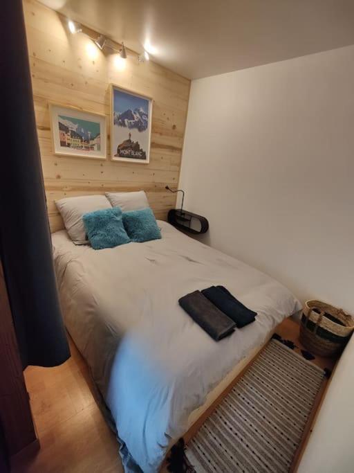 Apartement Vue Montage Magnifique 2Ch 5Mn Piste 3 レ・ズッシュ エクステリア 写真